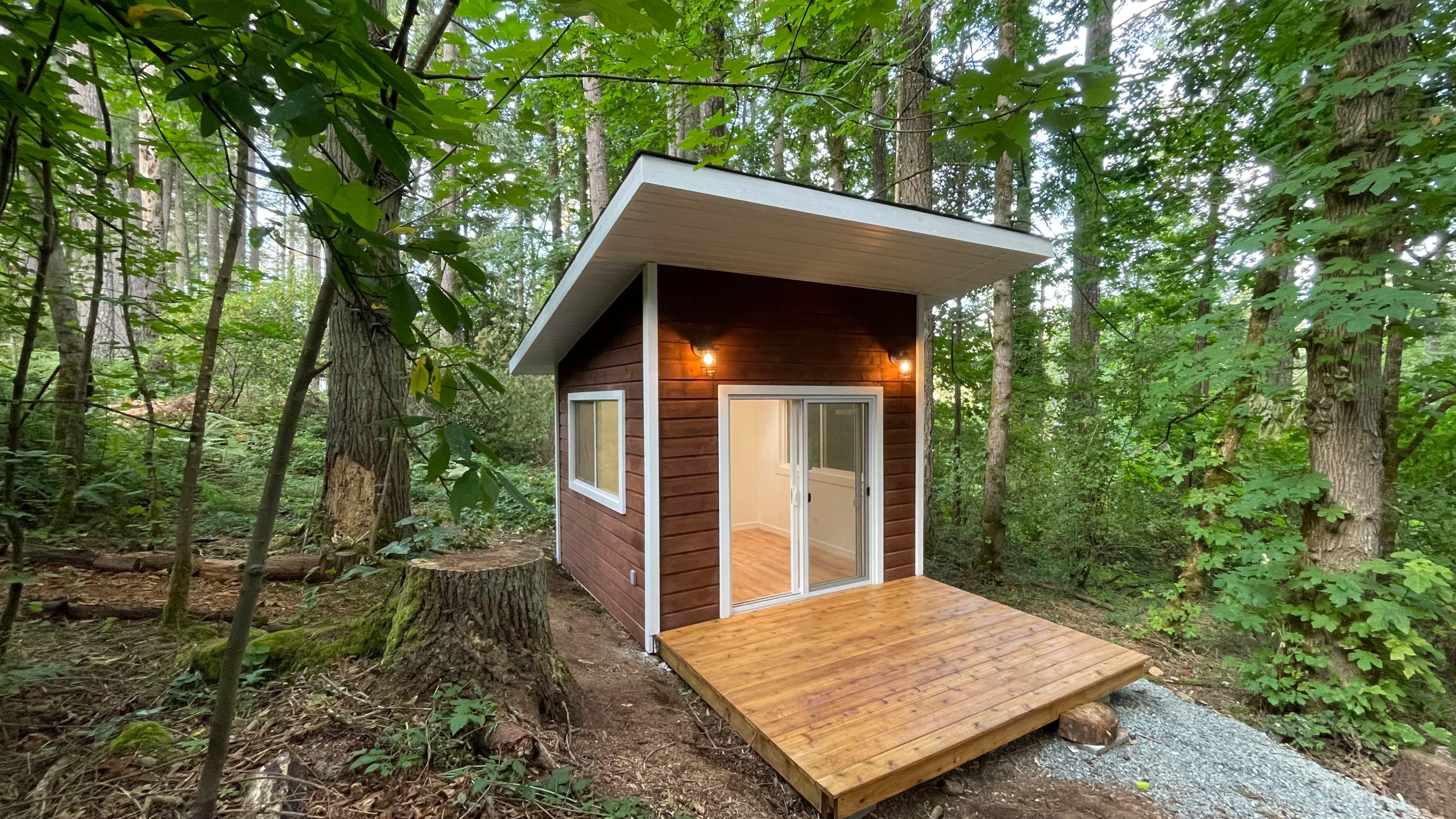 Forest Cabin And Outhouse project image 2